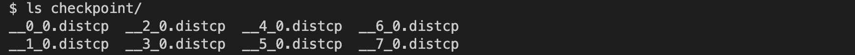 Distributed Checkpoint