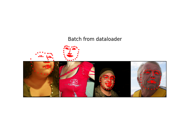 Batch from dataloader