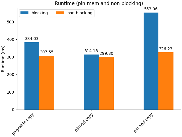 Runtime (pin-mem and non-blocking)