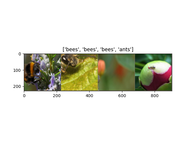 ['bees', 'bees', 'bees', 'ants']